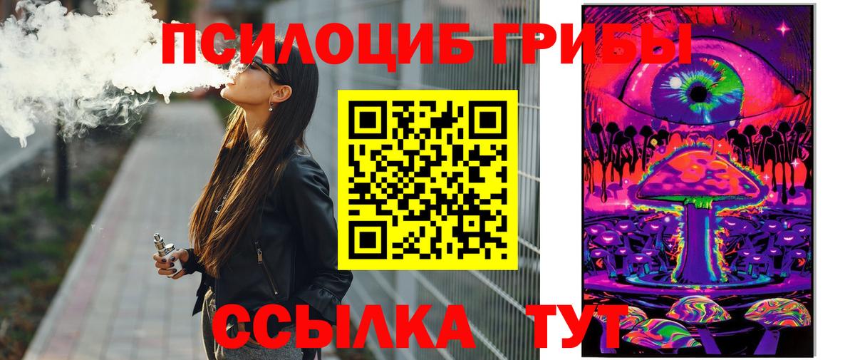 Котлас  Галлюциногенные грибы MAGIC MUSHROOMS  Вход с VPN 